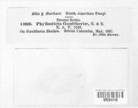 Image Associated With the Occurence